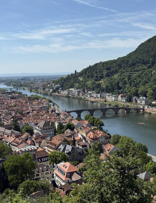 Heidelberg Old Town Overlook - Image 1