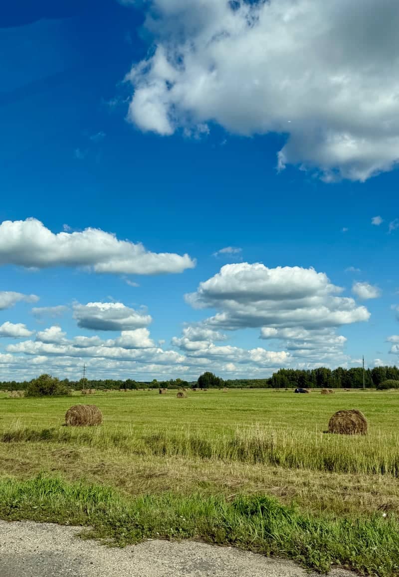 Plyos Countryside Hayfields - Image 1