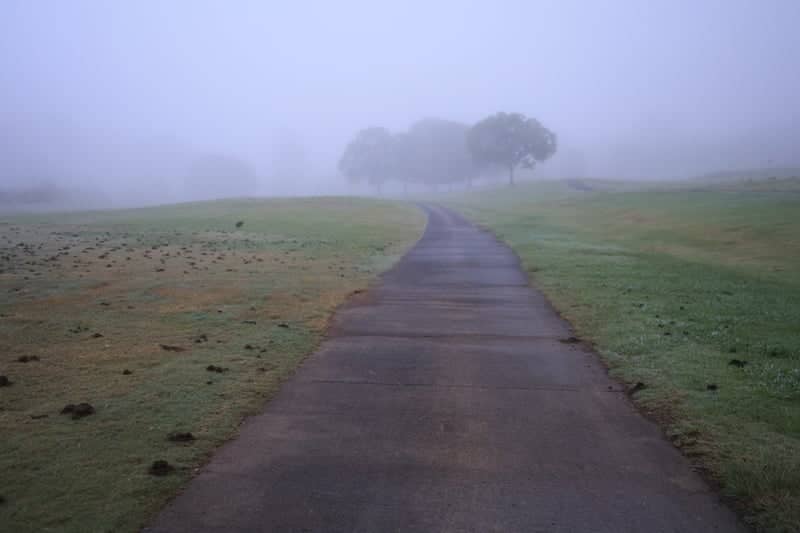 Kooralbyn Valley Foggy Path - Image 1