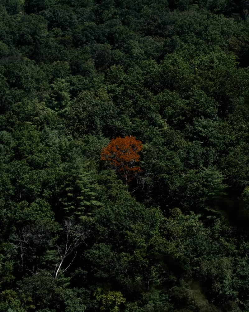 Red River Gorge Geological Area - Image 1