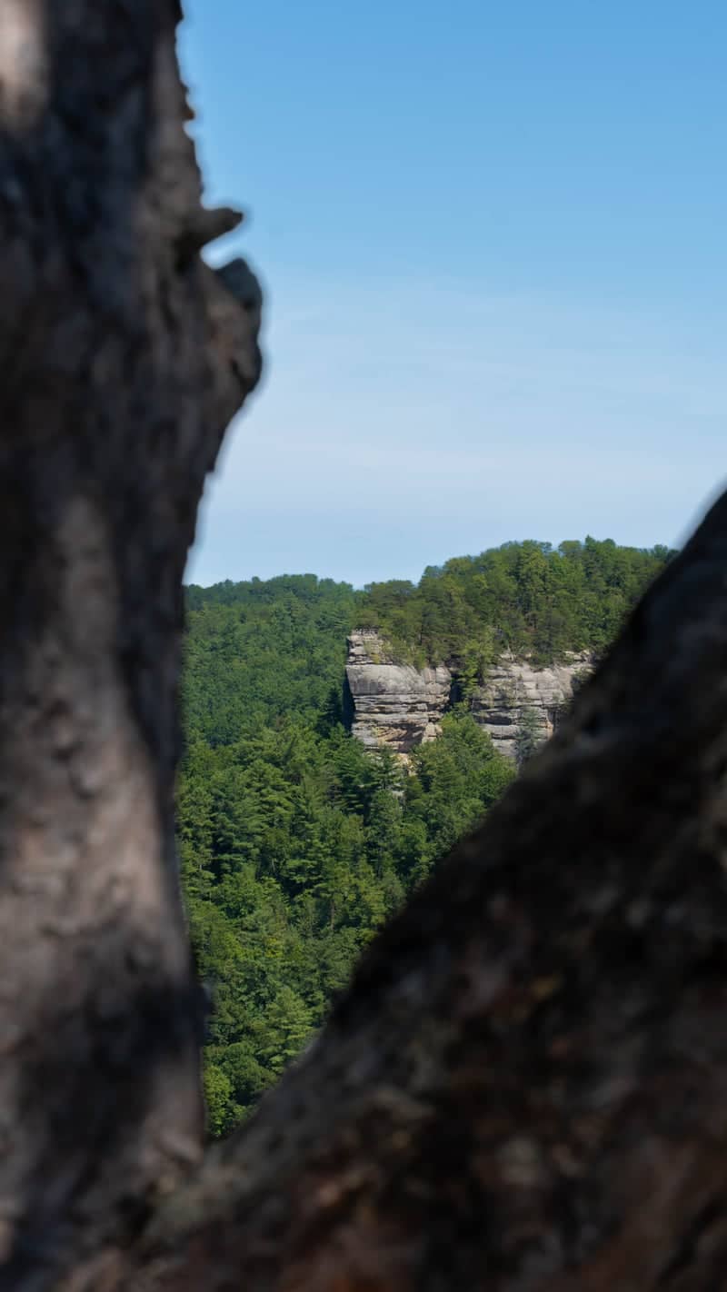 Red River Gorge Overlook - Image 1