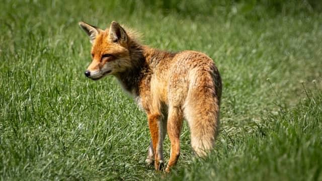 Wildpark Leipzig - Image 1