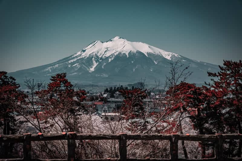 Mount Iwaki from Hirosaki Park - Image 1