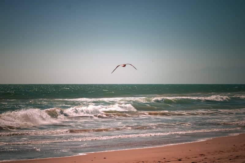 Silver Strand Beach - Image 1