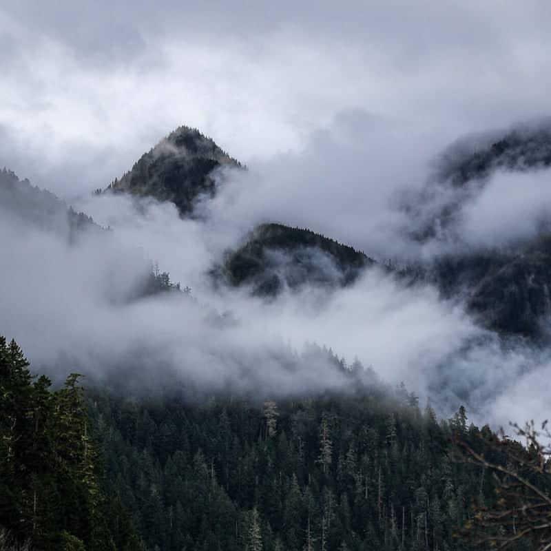 Olympic National Park Misty Peaks - Image 1