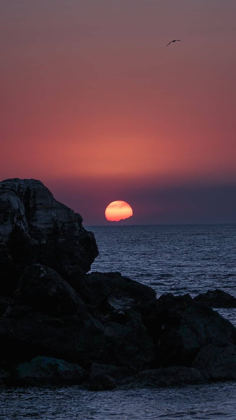 Portinatx Sunset Coast - Image 1