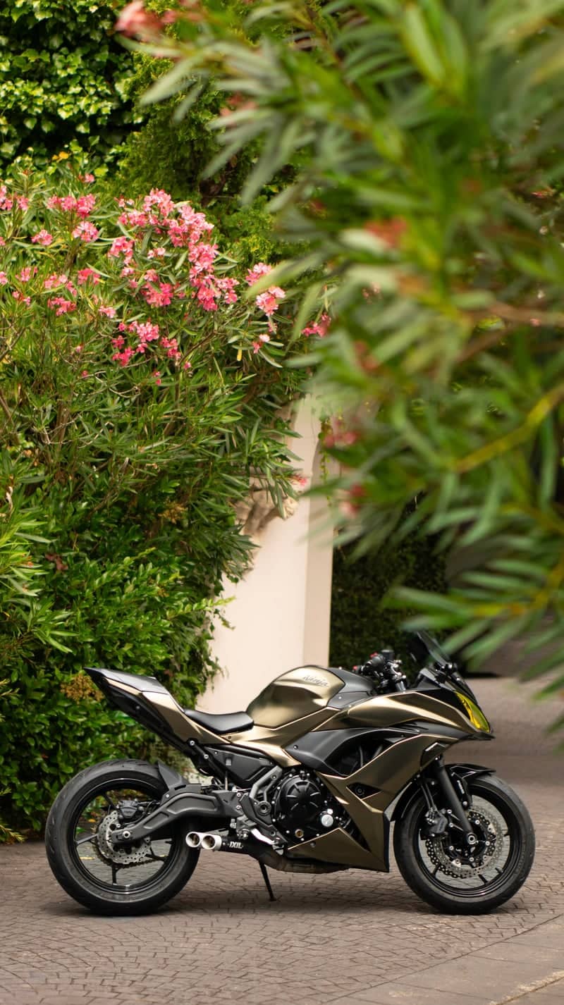 Garden Terrace Anglet - Image 1