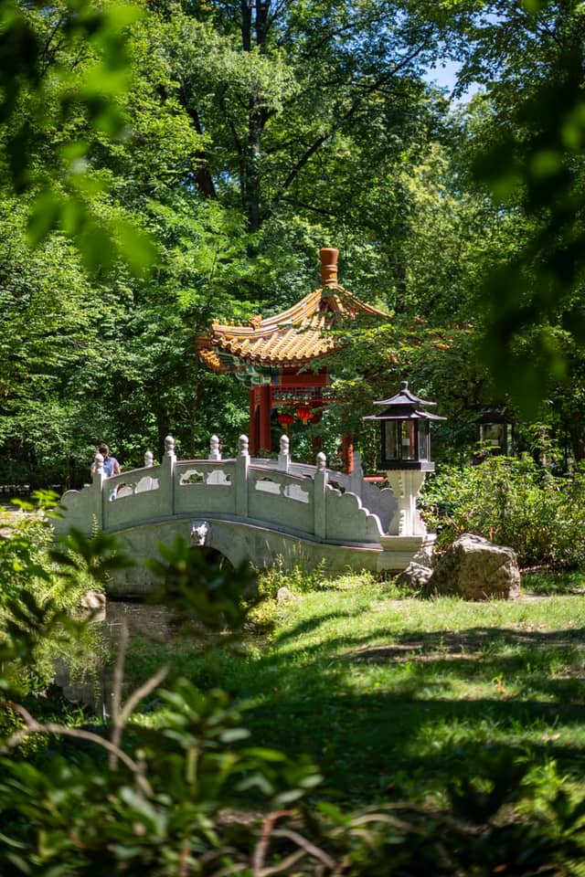 Chinese Garden, Łazienki Park - Image 3