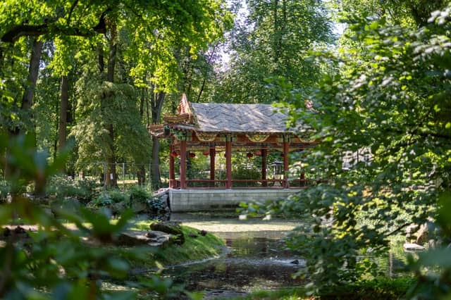 Chinese Garden, Łazienki Park - Image 1