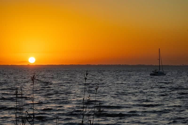 Escambia Bay Overlook - Image 1
