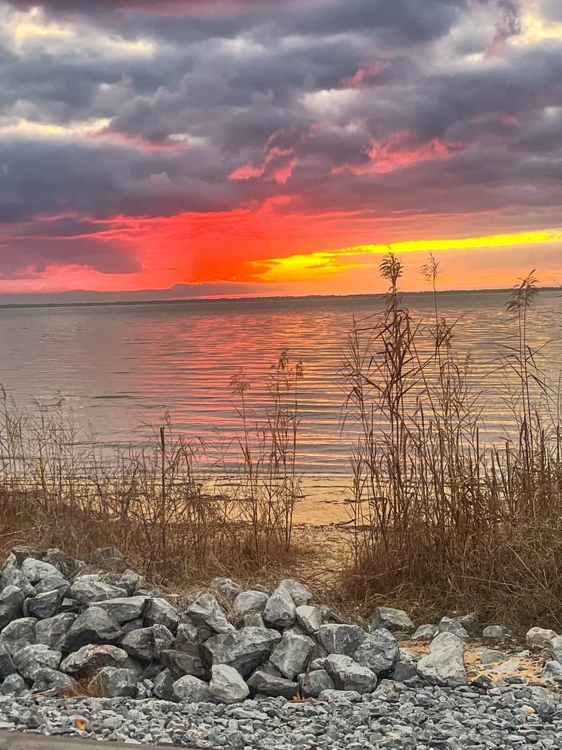 Escambia Bay Overlook - Image 1