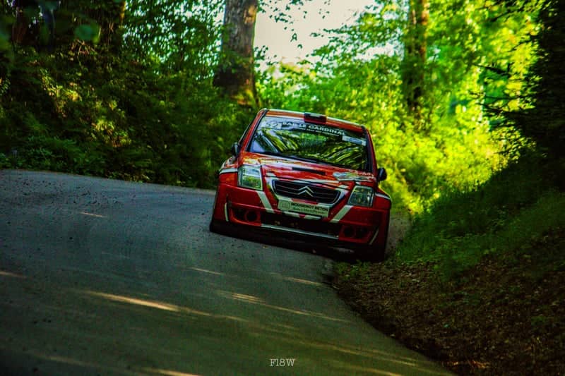 Vosges Forest Rally Stage - Image 1