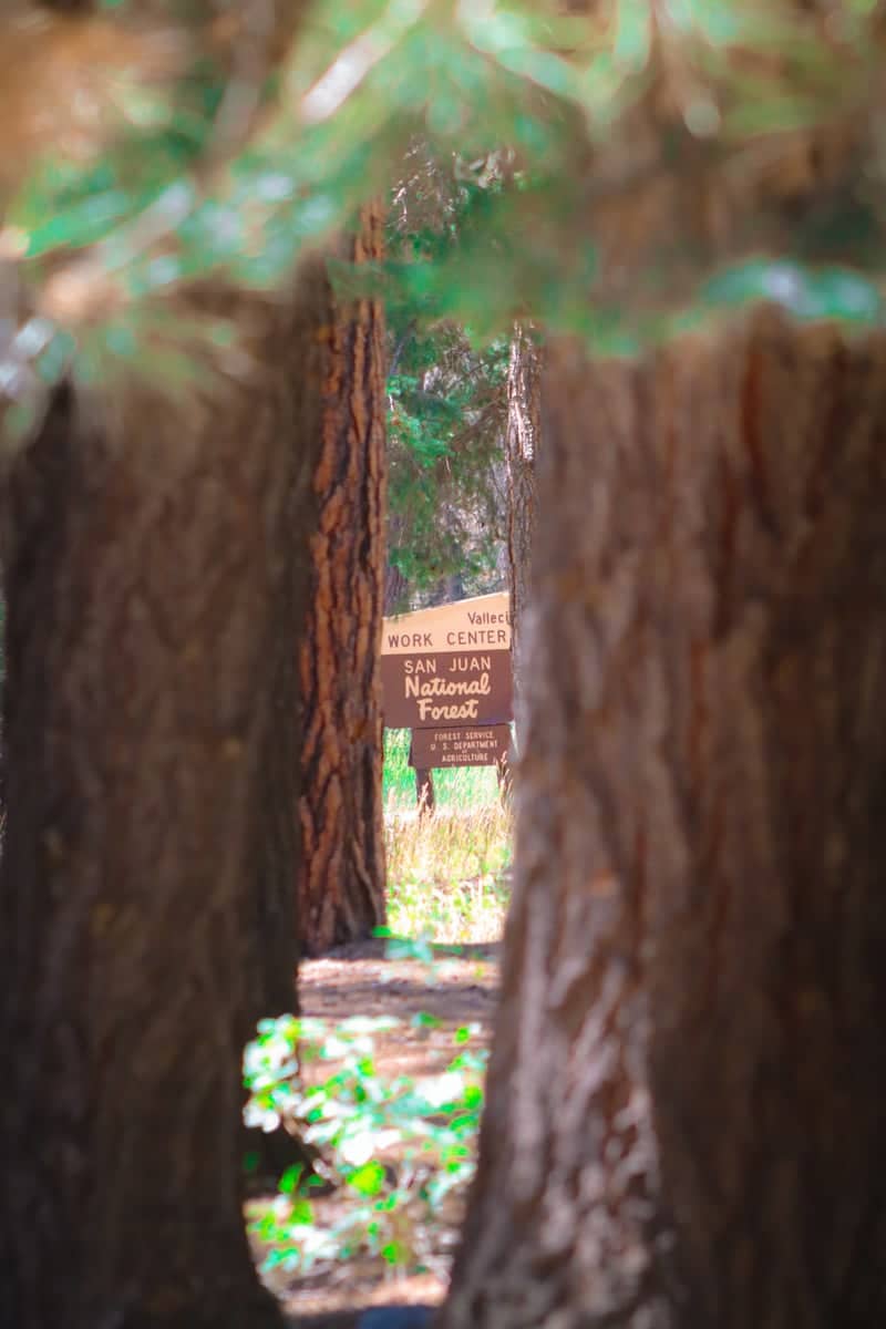 Vallecito Work Center, San Juan National Forest - Image 1
