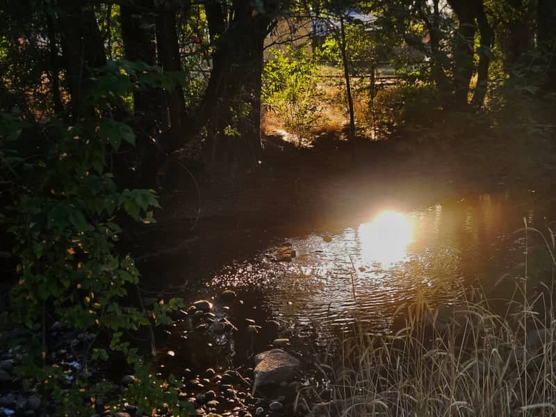 Big Cottonwood Creek at Vinecrest - Image 1