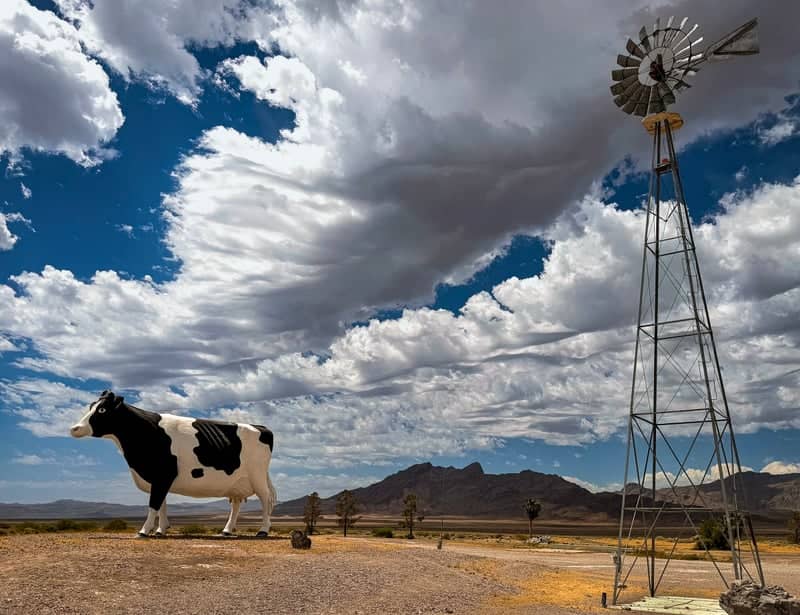 Giant Cow at Longstreet Inn - Image 1