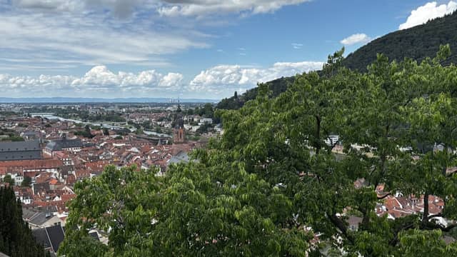 Heidelberg Altstadt Overlook - Image 1