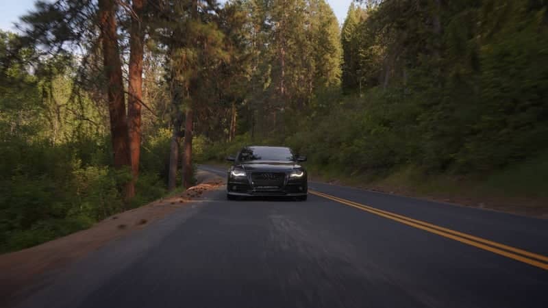Quinimose Road Forest Drive - Image 1