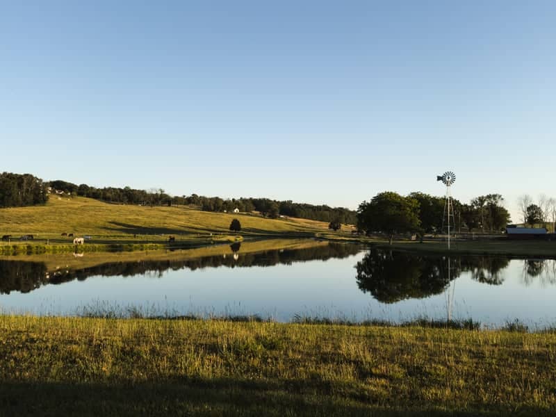Fredon Pastoral Pond & Windmill - Image 1
