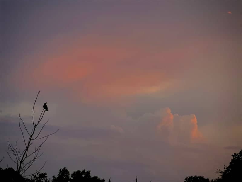 Olathe Sunset Overlook - Image 1