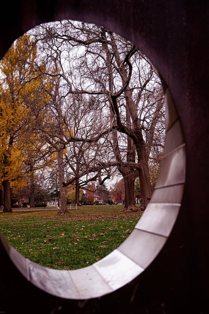 Ritter Park Sculpture Garden - Image 1