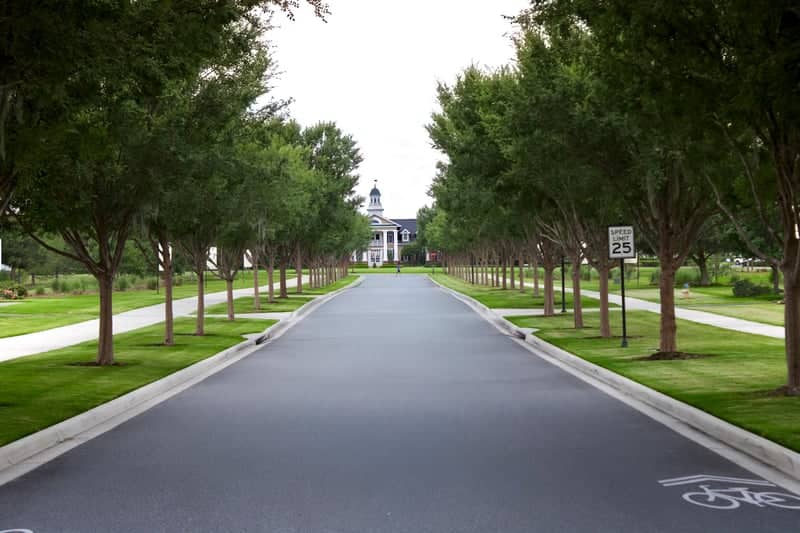 Haile Plantation Tree-Lined Avenue - Image 1