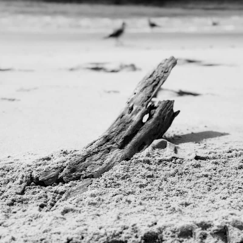 Jones Beach State Park - Image 1