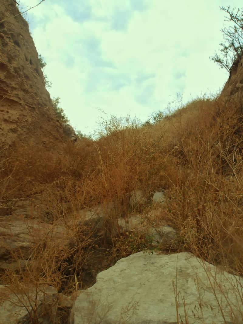 Bisceglie Coastal Ravine - Image 1