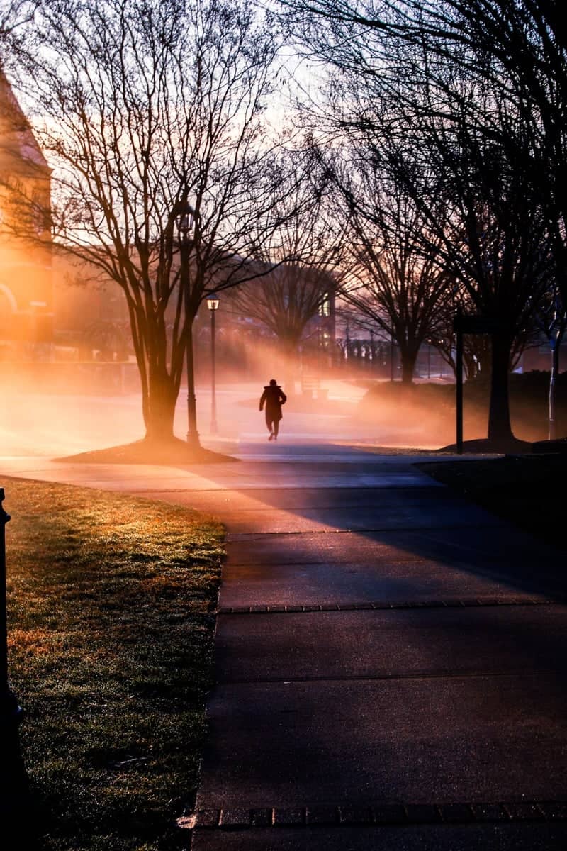 North Ridge Misty Walkway - Image 1