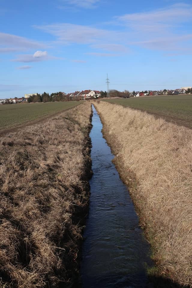 Gumieńce Canal Fields - Image 1
