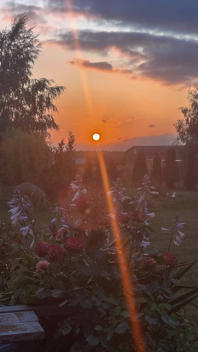 Gryfino Rural Sunset Garden - Image 1