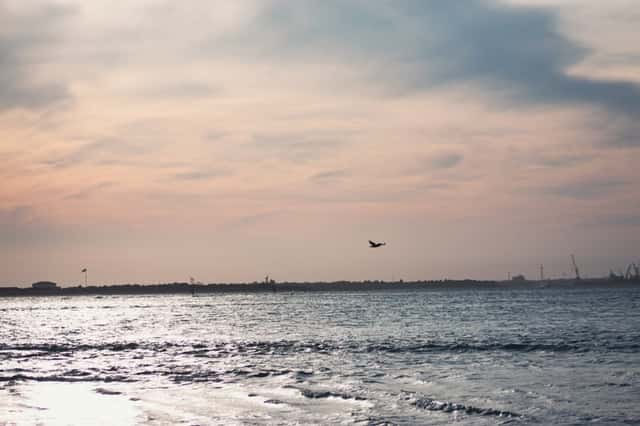 Shackelford Banks