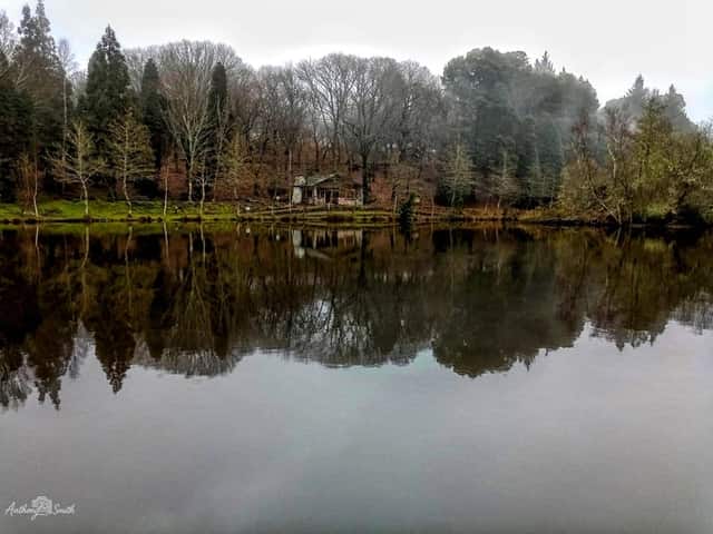 Lago de Castiñeiras