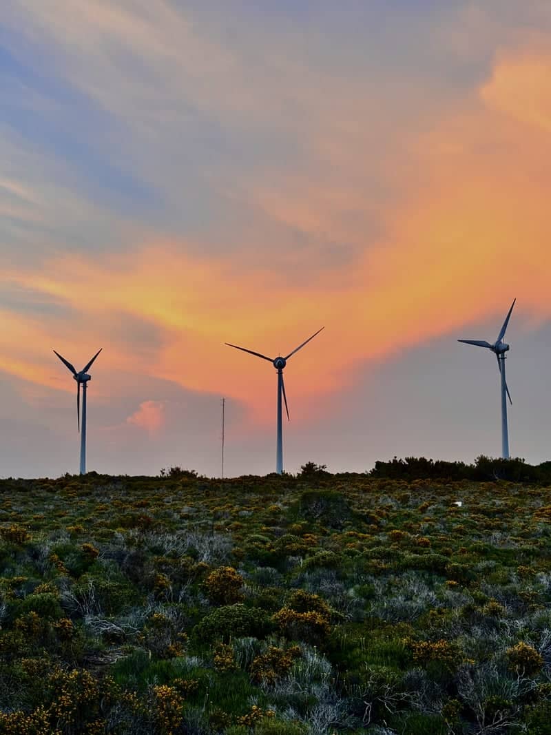 Polente Lighthouse & Wind Farm - Image 1