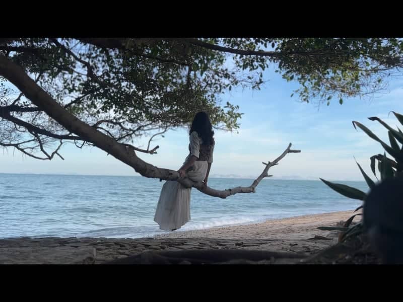 Pattaya Beach Tree Overhang - Image 1