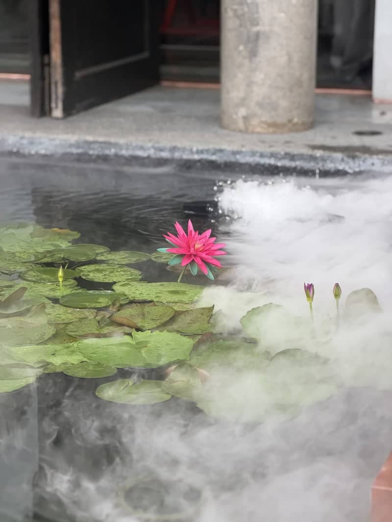Misty Lotus Pond at Phra Singh Village - Image 1