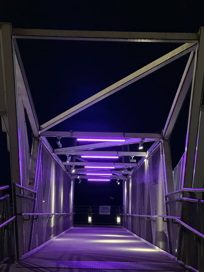 Front Street Pedestrian Bridge - Image 1