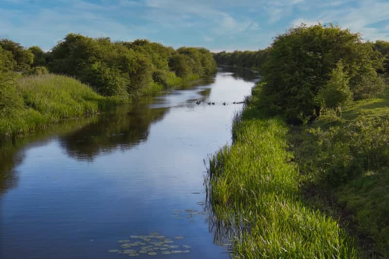 River Idle near West Stockwith - Image 1