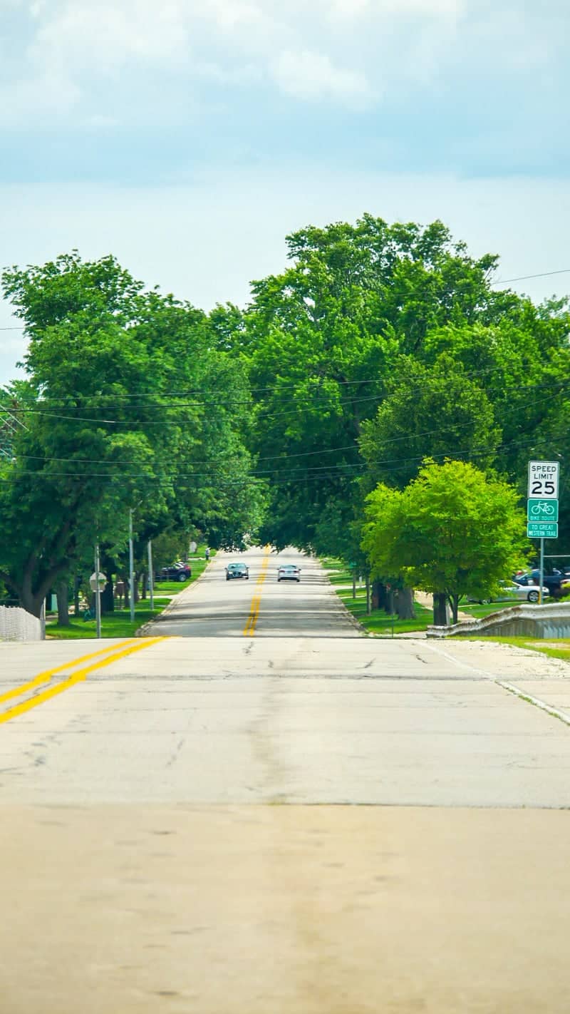 North Mill Road Tree Tunnel - Image 1