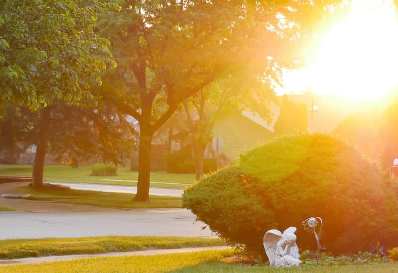Addison Suburban Garden - Image 1
