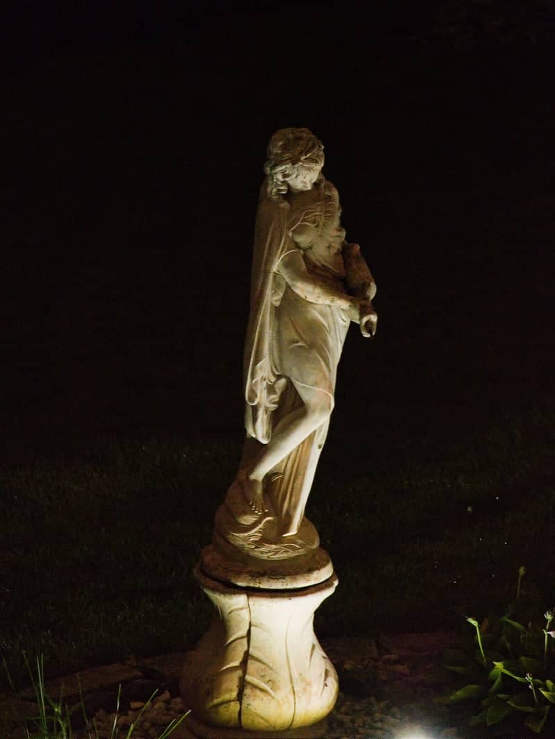 Venuti's Banquet Hall Garden - Image 1