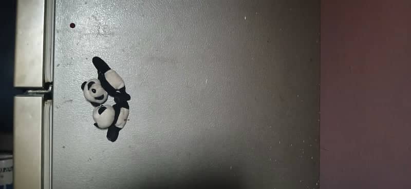 Panda Magnet Still Life - Image 1
