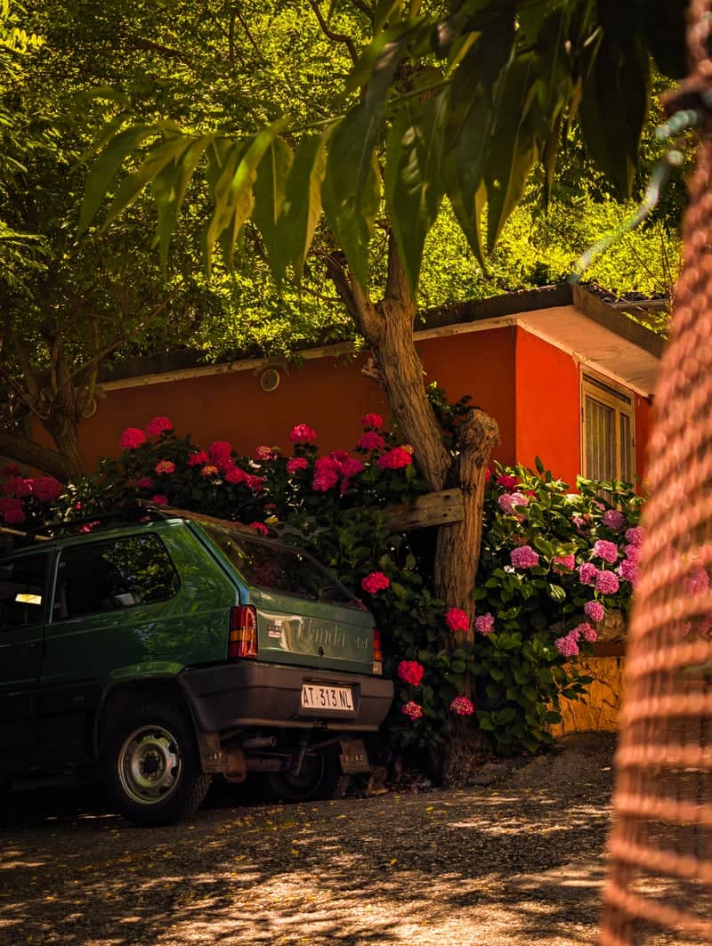 Rustic Villa Garden in Montorso Vicentino - Image 1