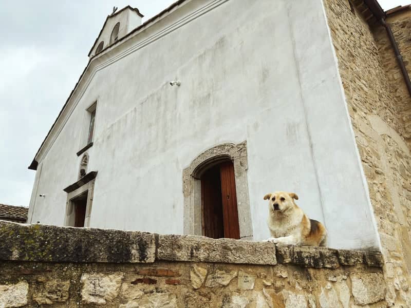Chiesa di Sant'Anna, Pietrelcina - Image 1