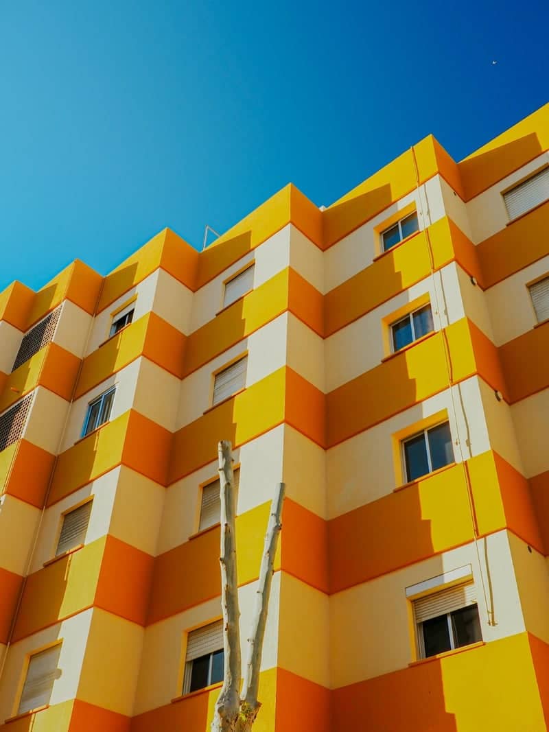 Yellow Striped Building Calp - Image 1
