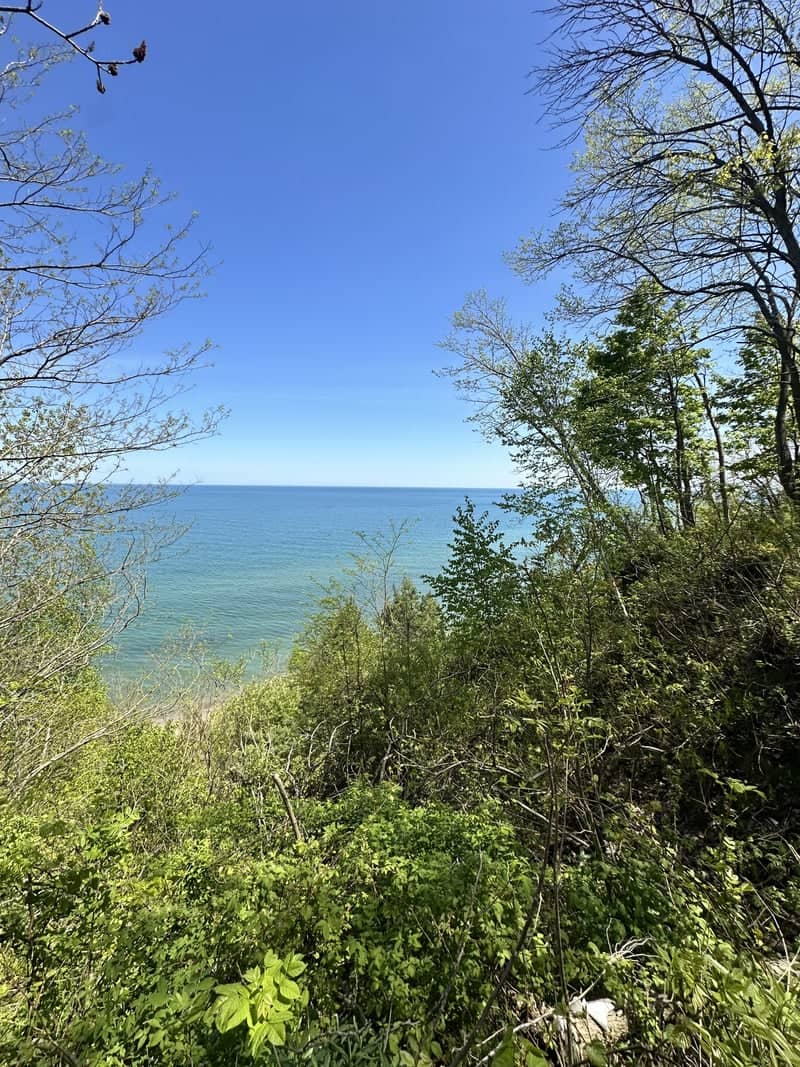 Grant Park Bluff Overlook - Image 1
