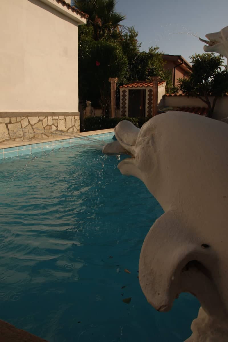 Villa Pool with Dolphin Fountains - Image 1
