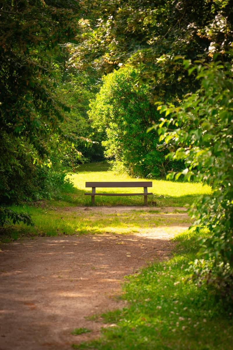 Parc de Nature et de Loisirs de Loos - Image 1