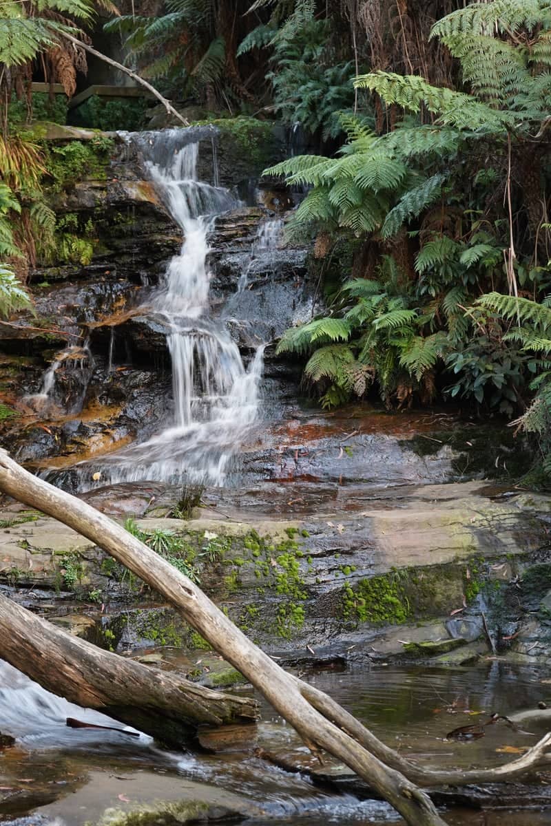 Leura Cascades - Image 1