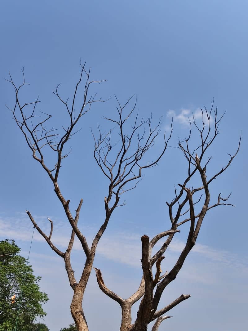 Shivganga Pond, Deoghar - Image 1