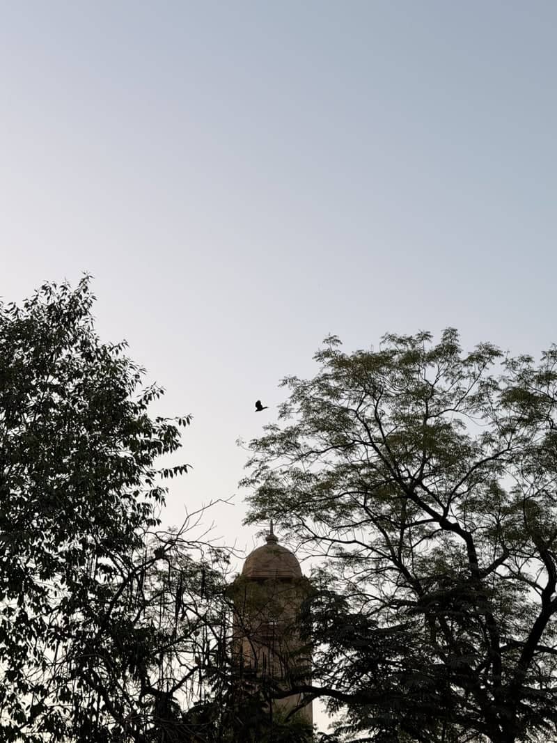 Gujarat University Tower - Image 1